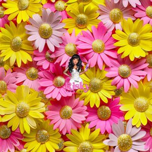 3D Pink/Yellow Daisies (2024)